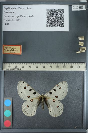 Media type: image;   Entomology 174263